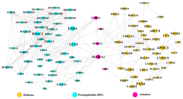 The module network 2 identified five cross-talk genes (EIF2S1, GSTP1, DNAJC3, SEC61A1, and MAPT).