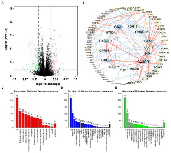 Functional enrichment analysis of NTRK2-associated co-DEGs in LUAD.