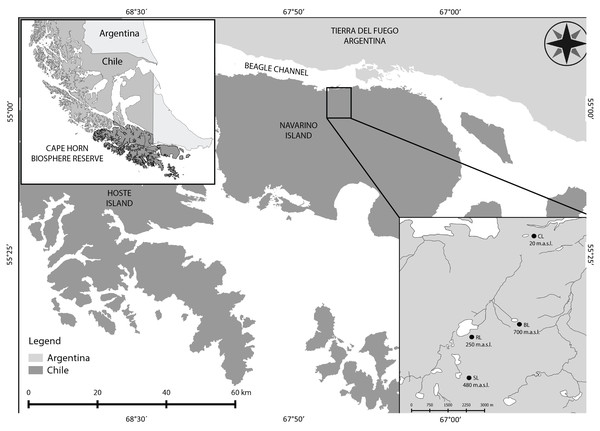 Cape Horn Biosphere Reserve and study sites on Navarino Island.