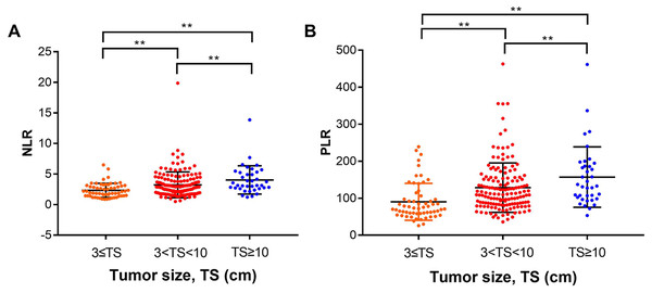 Analysis of the relationship between NLR, PLR and tumor size.