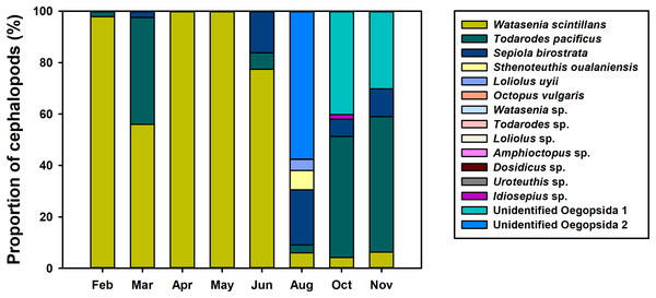 Proportions of planktonic cephalopod reads in Korean waters with different months as determined by NGS analysis.
