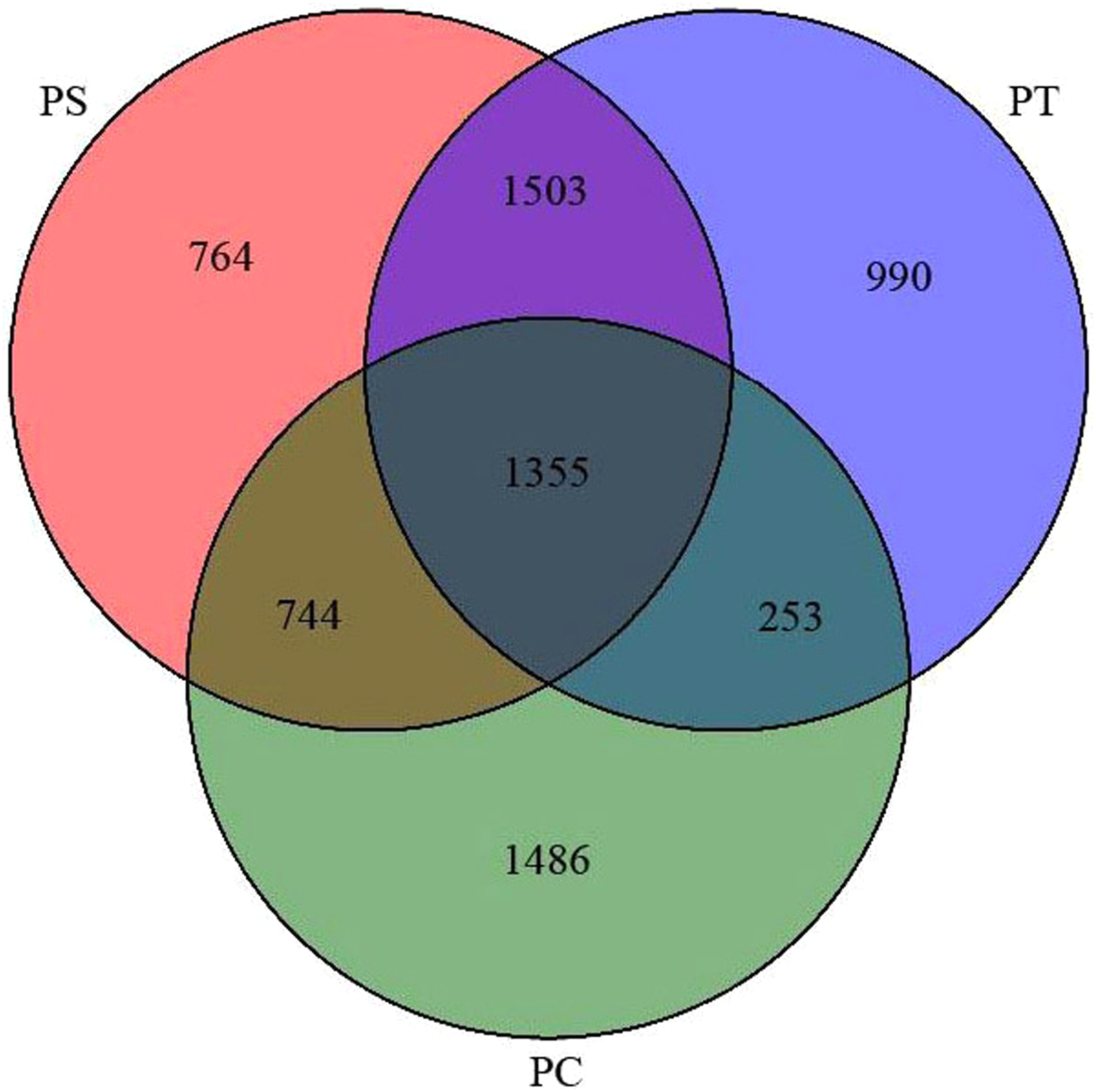 Comparison Of Soil Bacterial Community And Functional Characteristics Following Afforestation In The Semi Arid Areas Peerj