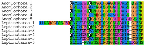 Unusual calcitonin sequences.