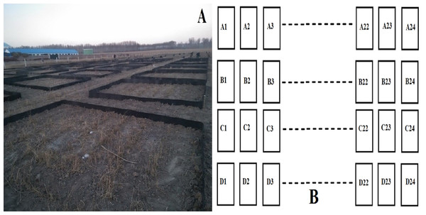 The distribution and area of experiment plots.