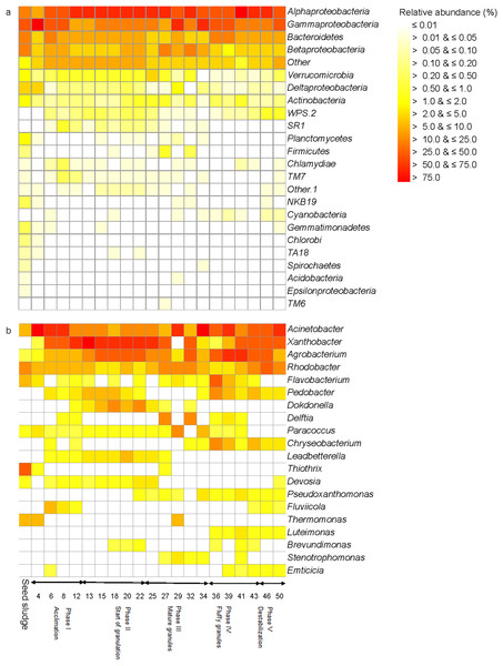 Heatmap with (A) the relative abundance of the bacterial phyla and (B) the 20 most abundant genera as detected in the different phases in the sequencing batch reactor used in this study.