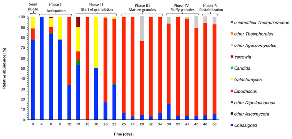 Heatmap with the relative abundance of the fungal genera as detected in the different phases in the sequencing batch reactor used in this study.