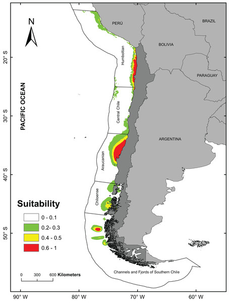 Potential distribution of Anemonia alicemartinae predicted by the best Ecological Niche Model.