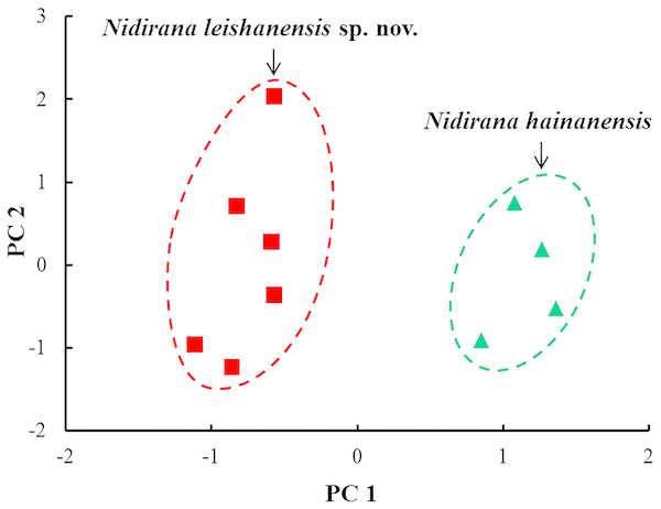 Plots of principal component analyses of Nidirana leishanensis sp. nov. and N. hainanensis.