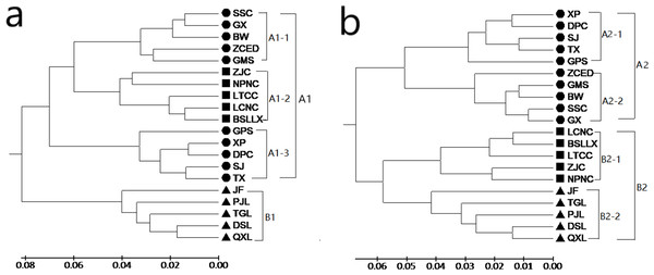 UPGMA cluster for 20 populations of M. oblongifolius based on SRAP data (A) and ISSR (B).