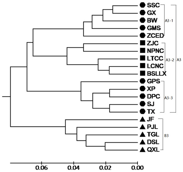 UPGMA cluster for 20 populations of M. oblongifolius combined SRAP and ISSR data.