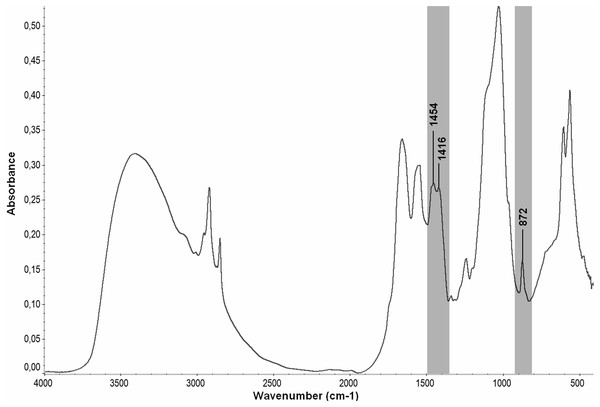 Spectral regions in the FTIR spectrum of bluefin tuna fin spine bone related to Type B carbonate substitution.