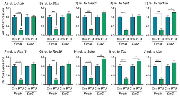 Relative expression levels of Pvalb and Dio2 in cerebral cortex of juvenile male rats after in utero exposure to PTU, normalized by different RGs.