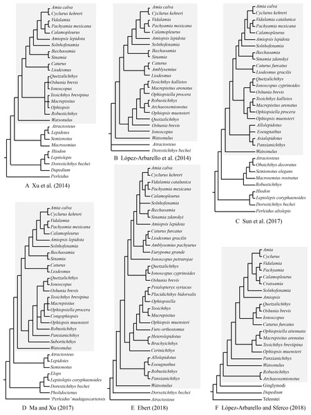 Selected previous hypotheses of phylogenetic relationships of Robustichthys.