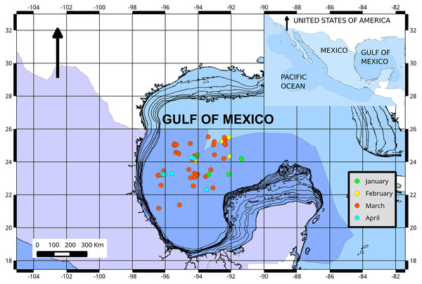 Fishing ground locations of Atlantic bluefin tuna caught by month (2015) in the southern Gulf of Mexico.