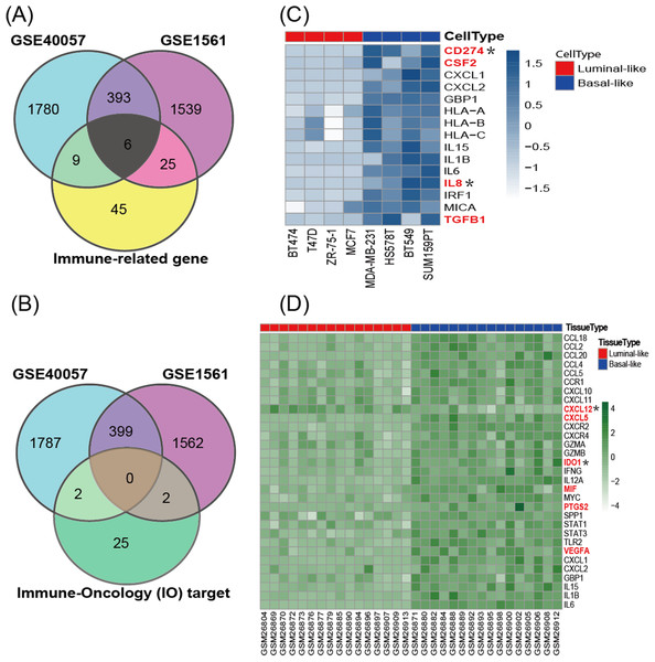The expression of immune-related genes in cell lines and tissue samples.