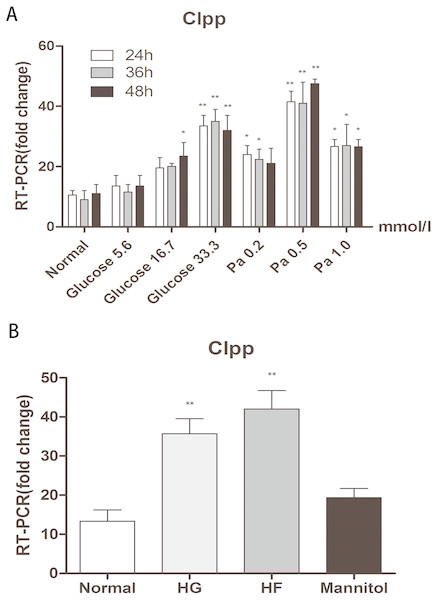 Effects of glucose and fat on the expression of CLPP.