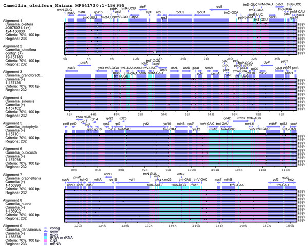 Visualization alignments of chloroplast genome sequences among 10 Theaceae species with Hainan C. oleifera chloroplast genome as a reference.