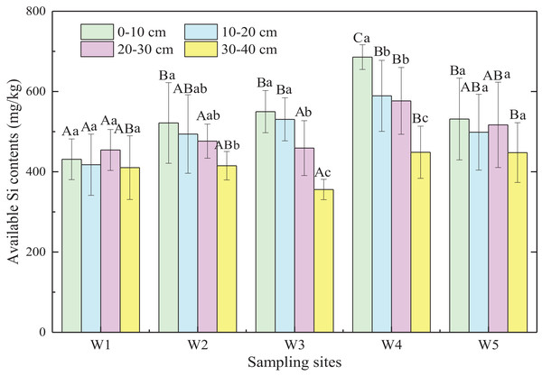 Available Si content of marsh soils in typical communities and ecotones.