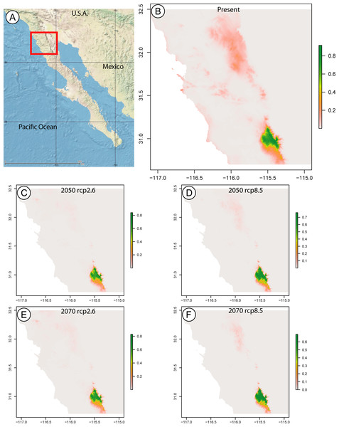 Species distribution maps based on climatic niche modeling.