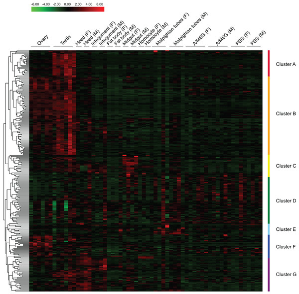 Expression profiling of BmZNF genes in multiple tissues of the silkworm.