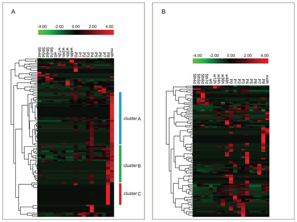 Expression profiling of BmZNF genes during development stages of the silkworm.
