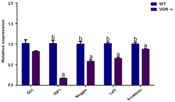 The relative genes expression at HF development in DP cells.