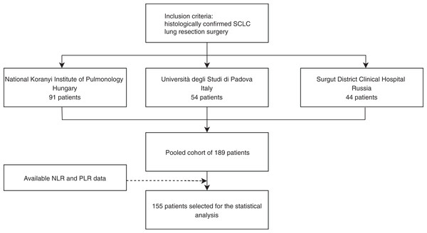 Study design of surgically resected SCLC patient’s cohort (n = 189) according to institution and PLR and NLR data availability.