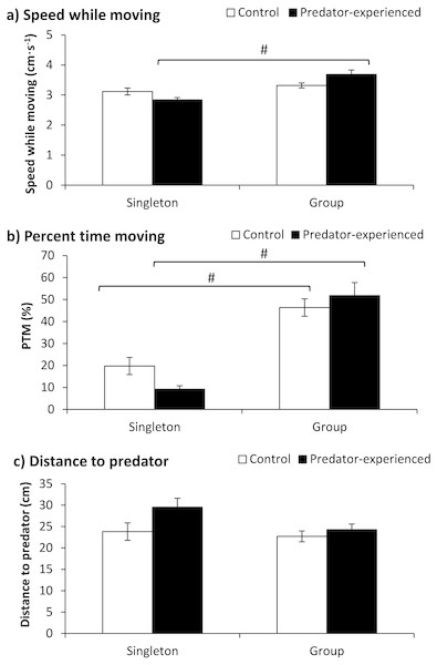 The effects of prior predator exposure treatment and the tested fish number on the speed while moving (A), percent time moving (B) and distance to the predator (C) in qingbo (mean ± S.E.).