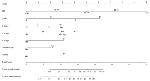 Nomogram of prediction for 5-year and 10-year overall survival.