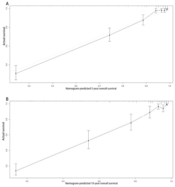 Calibration curves of the nomogram-predicted 5-year (A) and 10-year (B) overall survival.