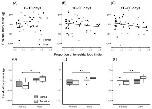 Chick residual body mass in relation to diet composition.