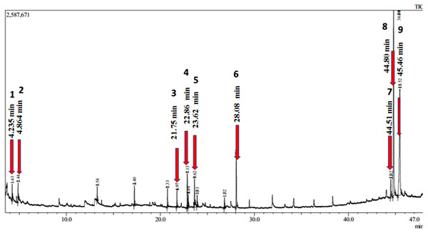 Chromatogram obtained from GC/MS analysis of aqueous root extract of A. africanus.