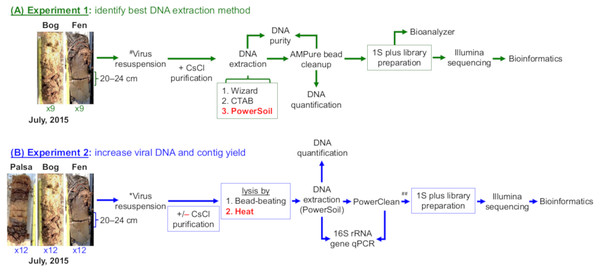 Overview of experiments to optimize methods for virome generation.
