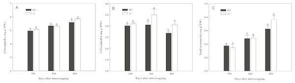 Effect of intercropping with green garlic on the cucumber chlorophyll a (A), chlorophyll b (B) and carotenoids (C) after interplanting on days 15, 30 and 45.