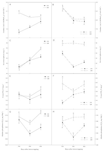 A green garlic (Allium sativum L.) based intercropping system reduces ...