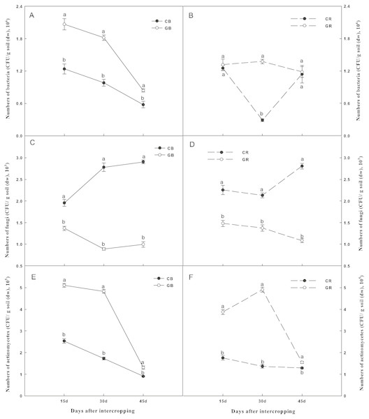 Effect of intercropping with green garlic on the number of bacteria (A–B), fungi (C–D) and actinomycetes (E–F) in the bulk and rhizosphere soils of cucumber.