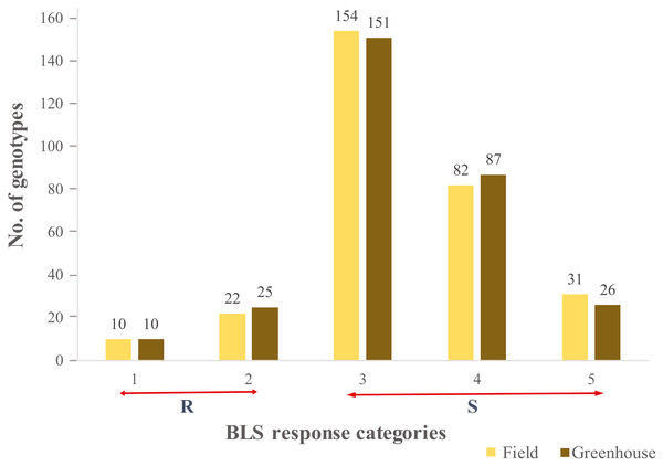 Distribution of the 299 genotypes of hard winter wheat association mapping panel (HWWAMP) into the 5 categories based on response to Bacterial leaf streak (BLS).