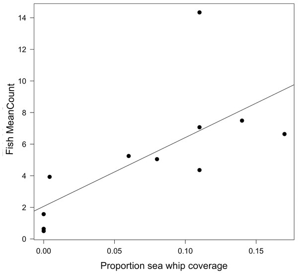 Relationship between fish MeanCount and proportional sea whip coverage.