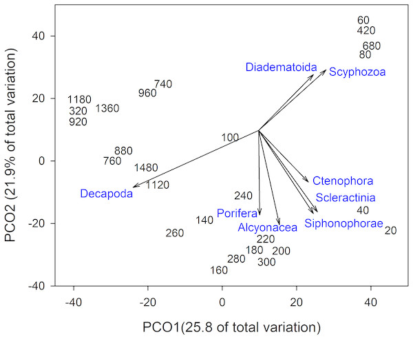 Principal Coordinates Analysis of invertebrate taxa presence-absence data using Bray Curtis similarity matrices of invertebrate taxa grouped into 20 m depth bins.