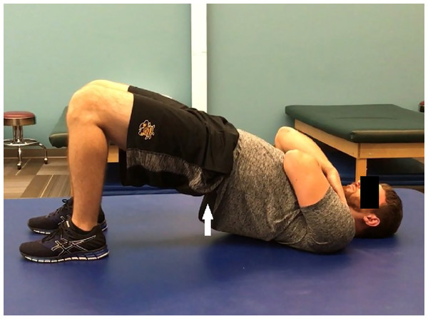 The bilateral bridge exercise in the raised position after rising from the surface.