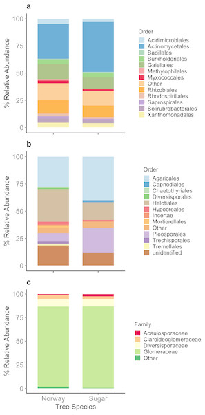 Relative abundance (%) of the main taxa detected among the microbial communities in the roots of Norway and sugar maple.