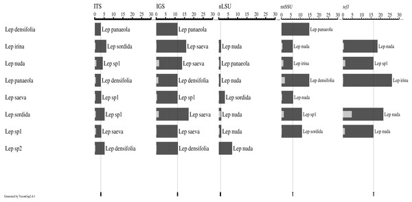 Intra- and inter-specific variations among the candidate barcode regions (ITS, IGS, nLSU, mtSSU, and tef1) from eight Lepista species.