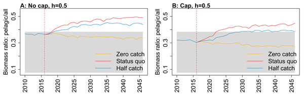 Biomass of pelagic fishes over biomass of all age-structured species groups from Chatham Rise Atlantis model simulations with recruitment steepness set at 0.5 for myctophids, no cap on recruitment (A), recruitment capped at R0 (B), and three catch scenarios: (1) Zero catch; (2) Status quo catch; (3) Half catch, for the 2010–2016 hindcast period and 2016–2046 projection period.