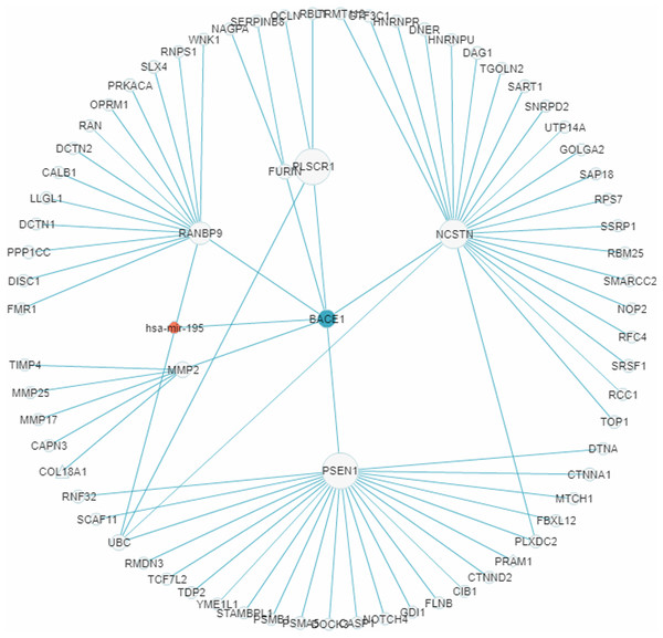 A miRNA regulatory sub-network centered on the AD-associated gene BACE1.
