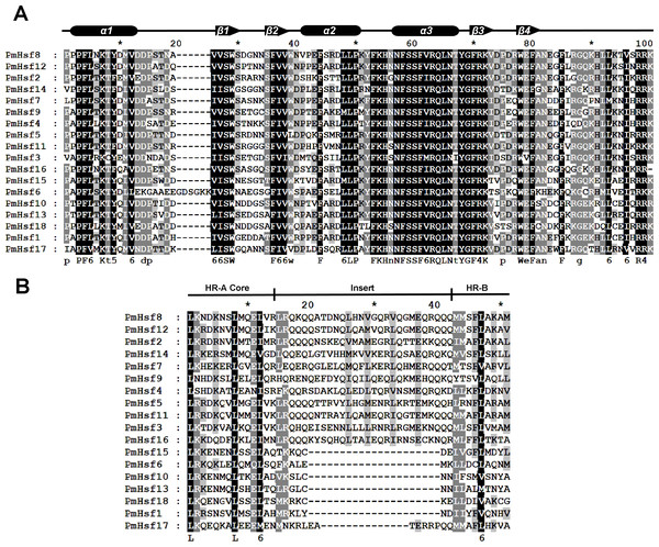Multiple sequence alignment of the DBD domains and HR-A/B regions of the Hsf proteins in P. mume.
