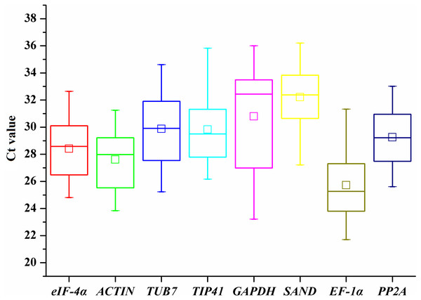 Ct values of candidate reference genes in all samples of A. sativum.