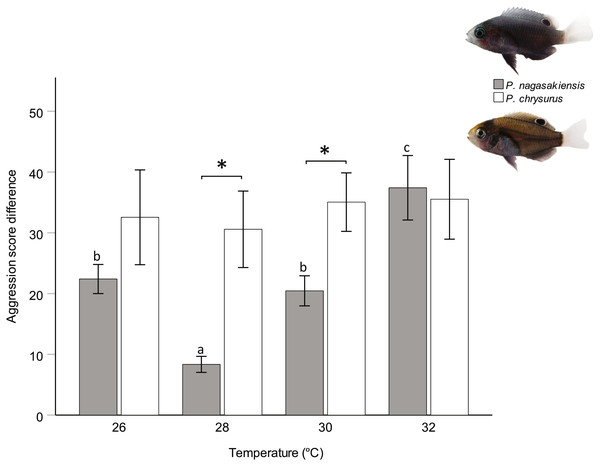 Influence of temperature on aggression scores between dominant and subordinate fish.