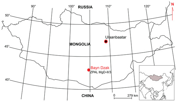 Map indicating locality of origin of ZPAL MgD-II/3 skeleton.