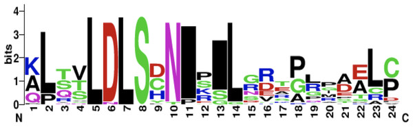 CD14 protein sequence logo displaying the most conserved domain and the positions of amino acids.