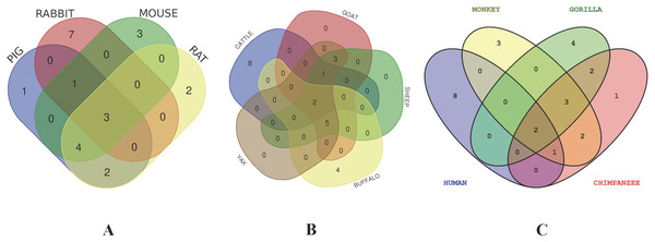 Venn diagram showing the proportion of intersection and unique genes depicting evolutionary diversity of CD14 molecule.